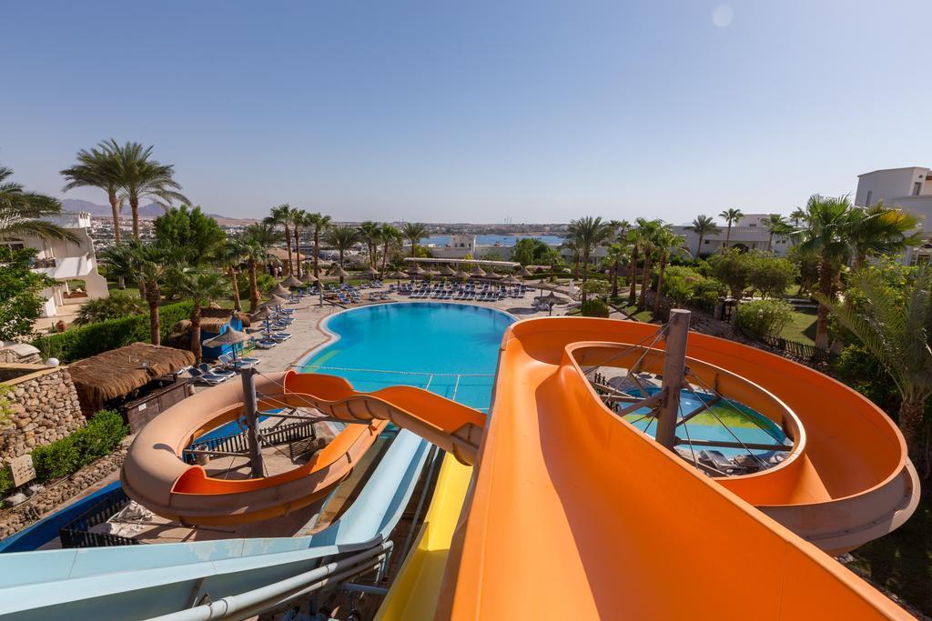Apartament Rodan Naama Bay