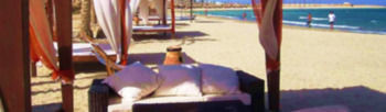 Abu Dabab Diving 3* Marsa Alam