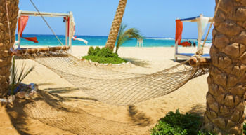 Abu Dabab Diving Marsa Alam