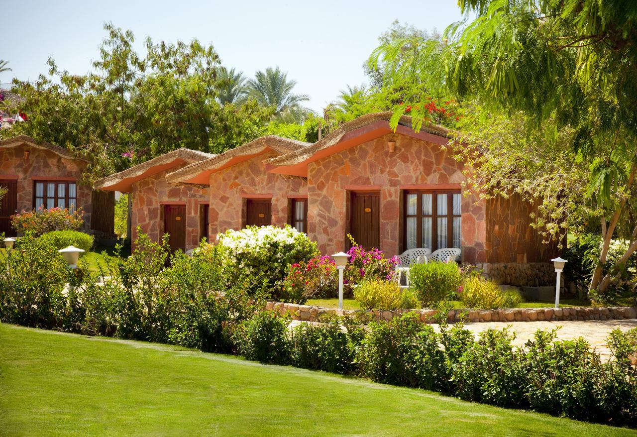 Xperience Hill-top Resort Sharm El-Sheikh