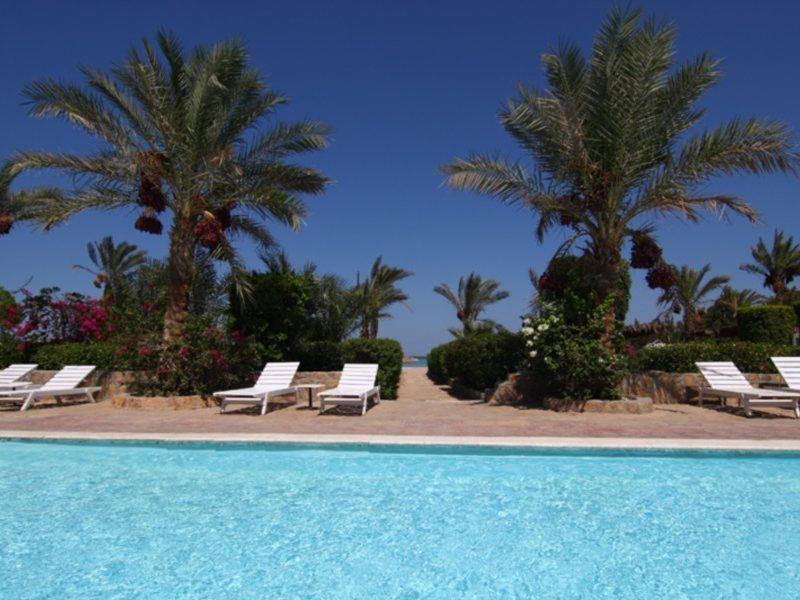 Samaka Hurghada