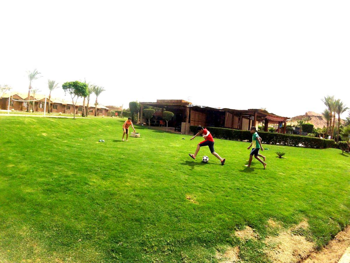 Resort Xperience Golden Sandy Sharm El Sheikk