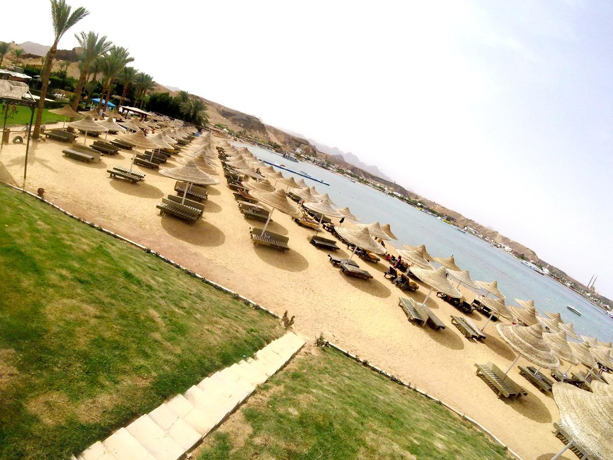 Xperience Golden Sandy