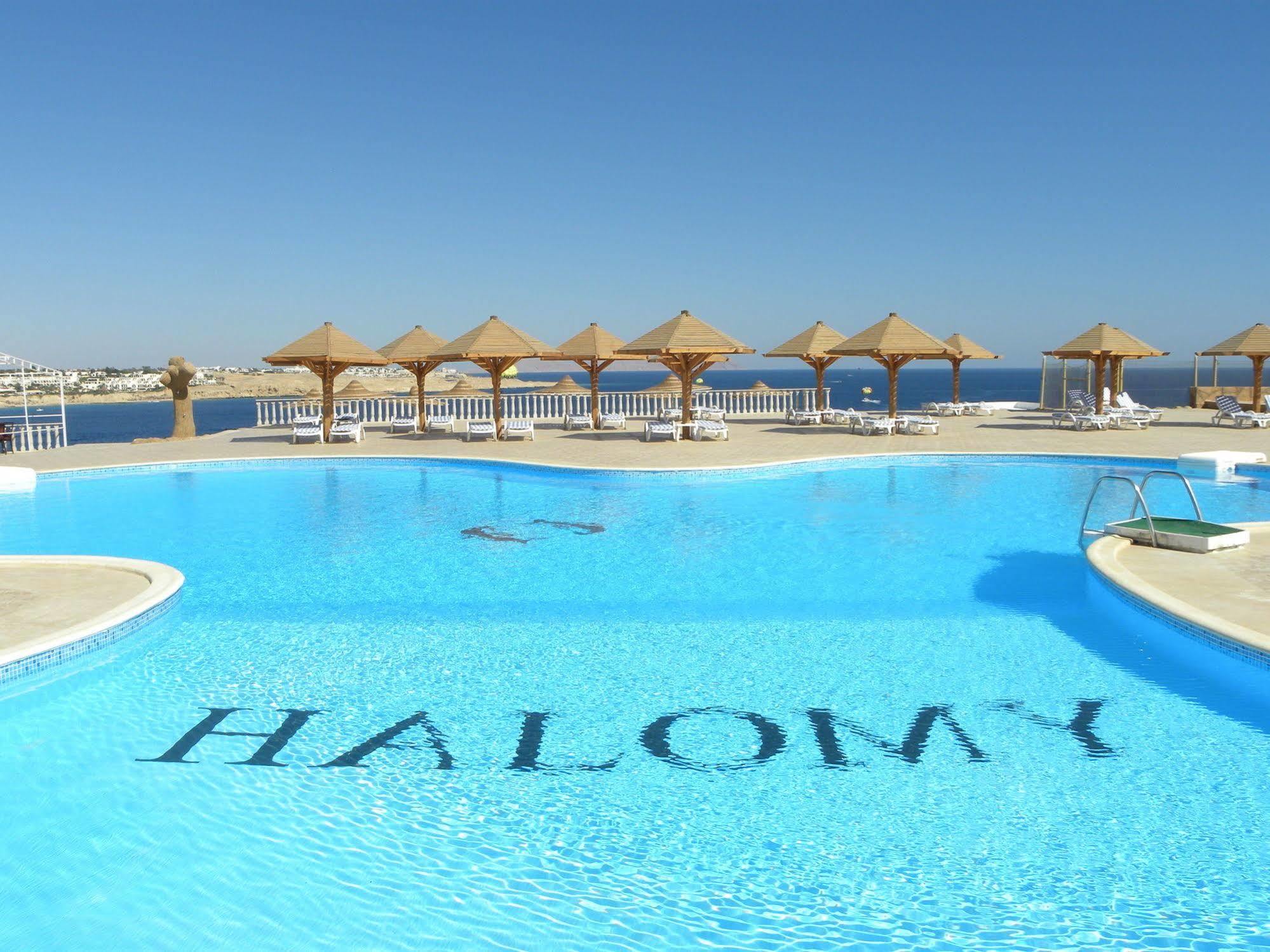 Grand Halomy 3* Sharm el-Sheikh