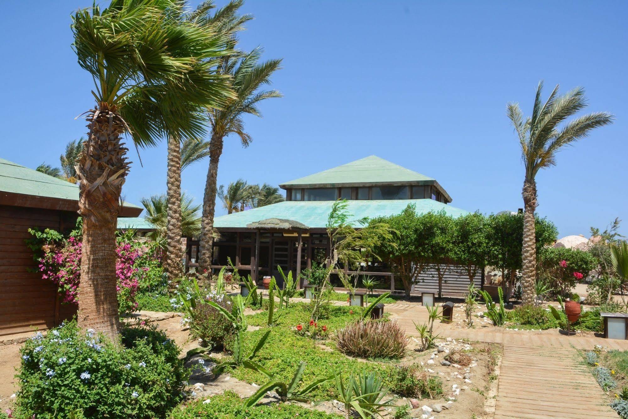 Abu Dabab Diving Hotel Marsa Alam