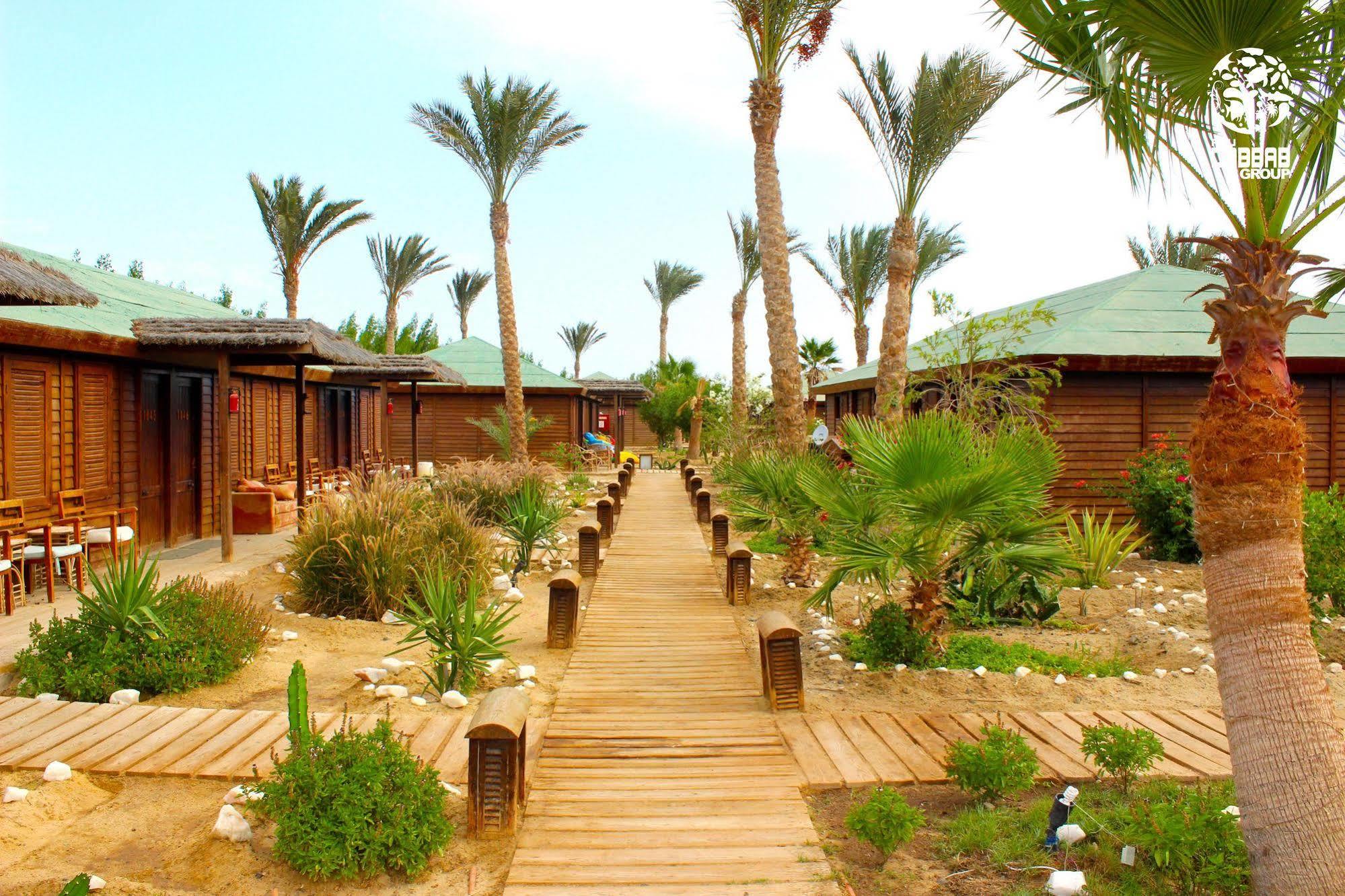 Abu Dabab Diving 3* Marsa Alam
