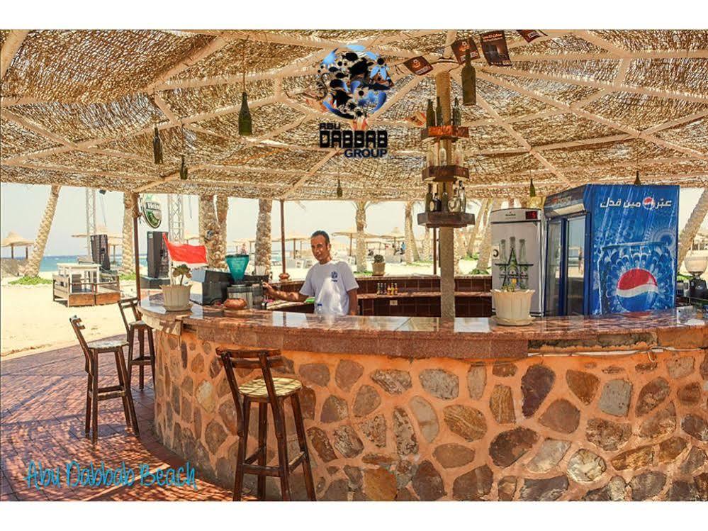 Abu Dabab Diving Marsa Alam