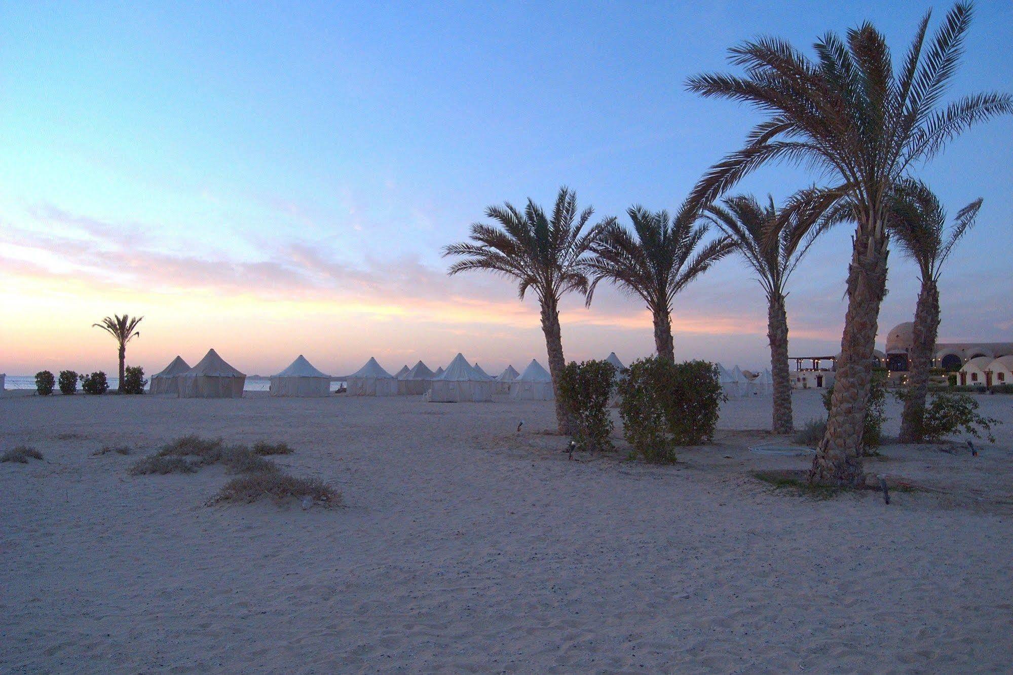 Marsa Shagra Village Hostel *