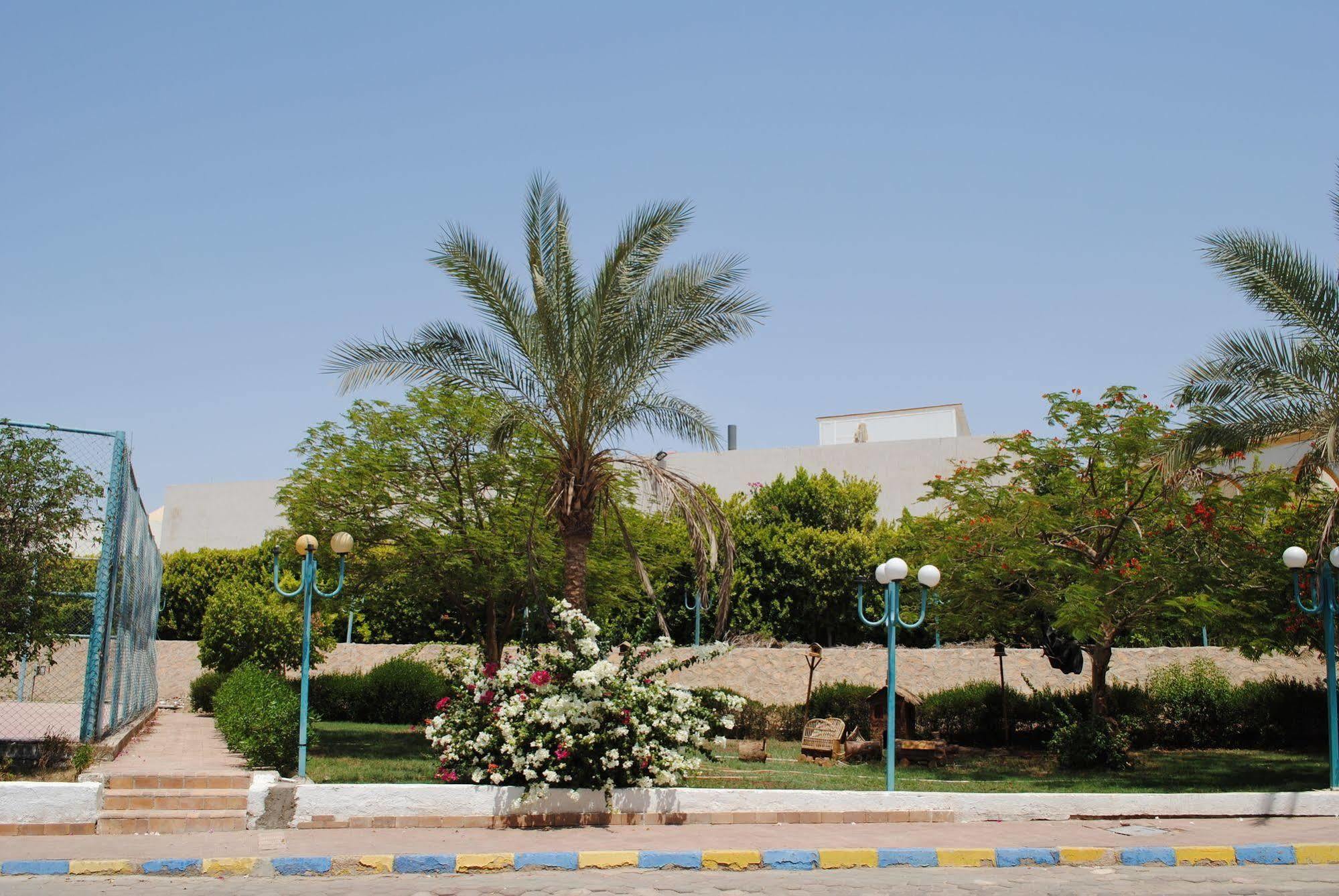 Hotel Cliff Sharm el-Sheikh