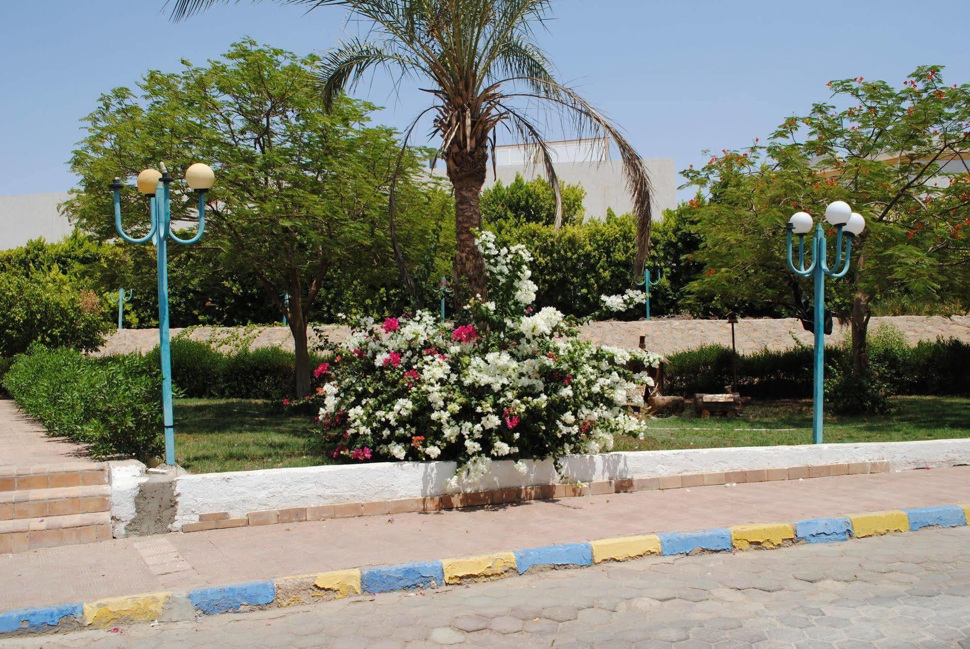 Cliff Sharm el-Sheikh