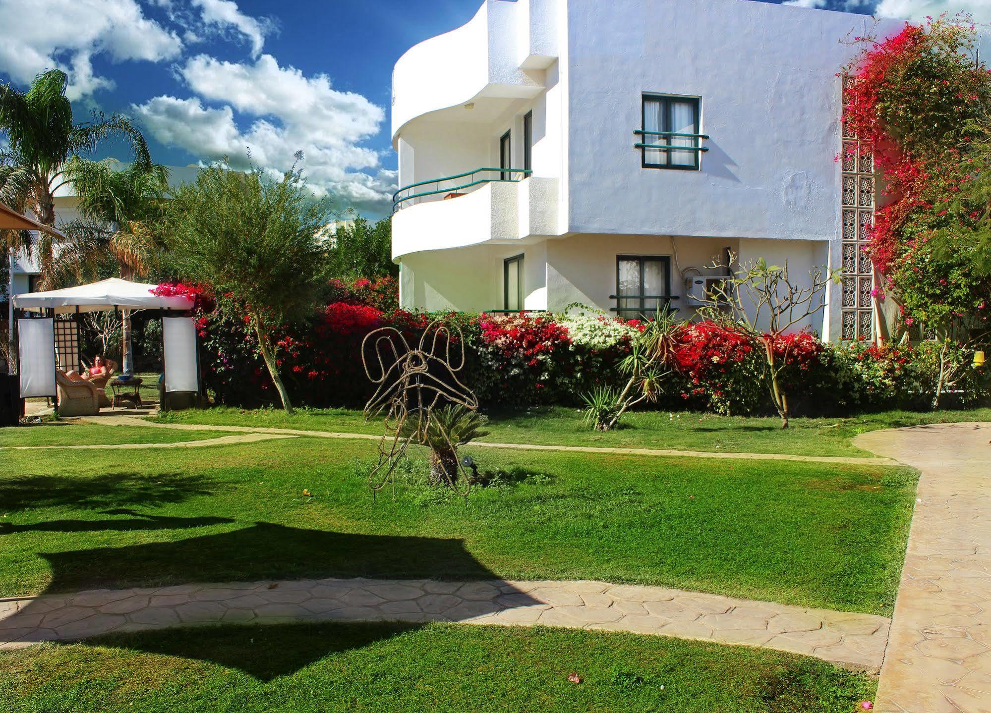 Viking Club Sheikh Complex 4*