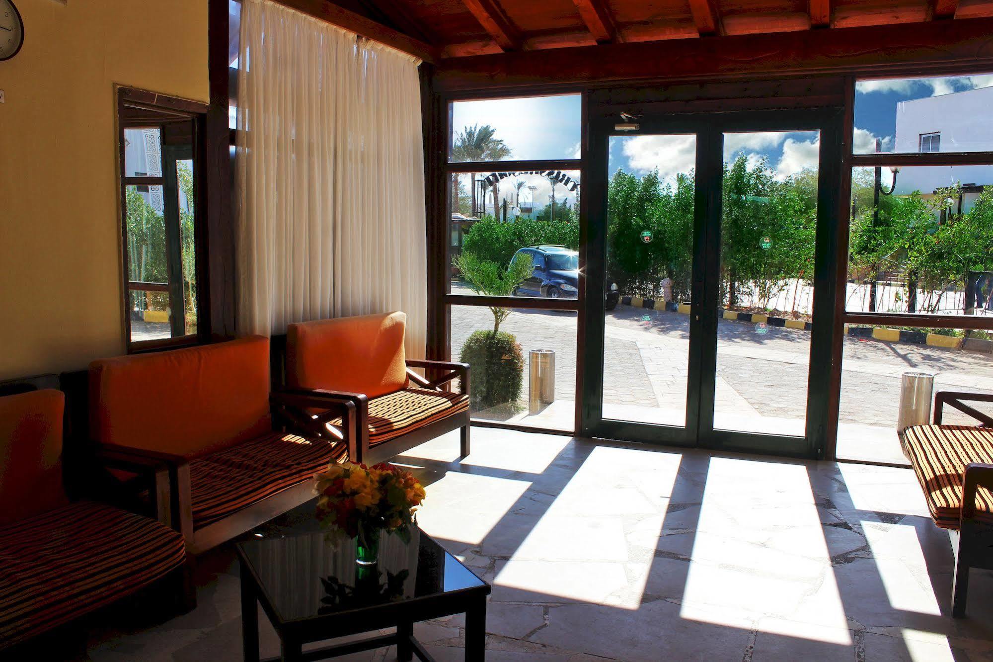 Viking Club Sheikh 4* Sharm el-Sheikh