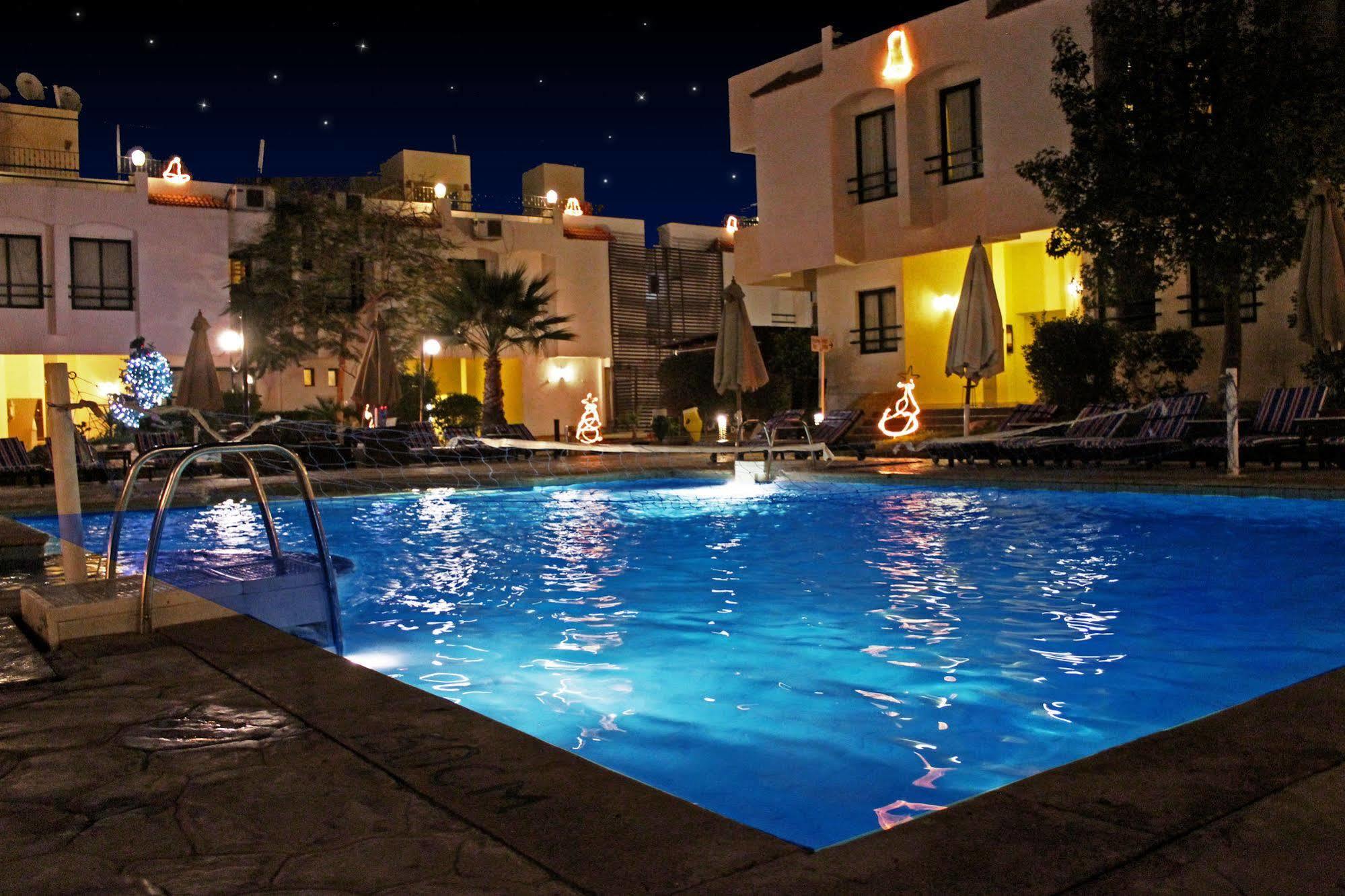 Complex Viking Club Sheikh