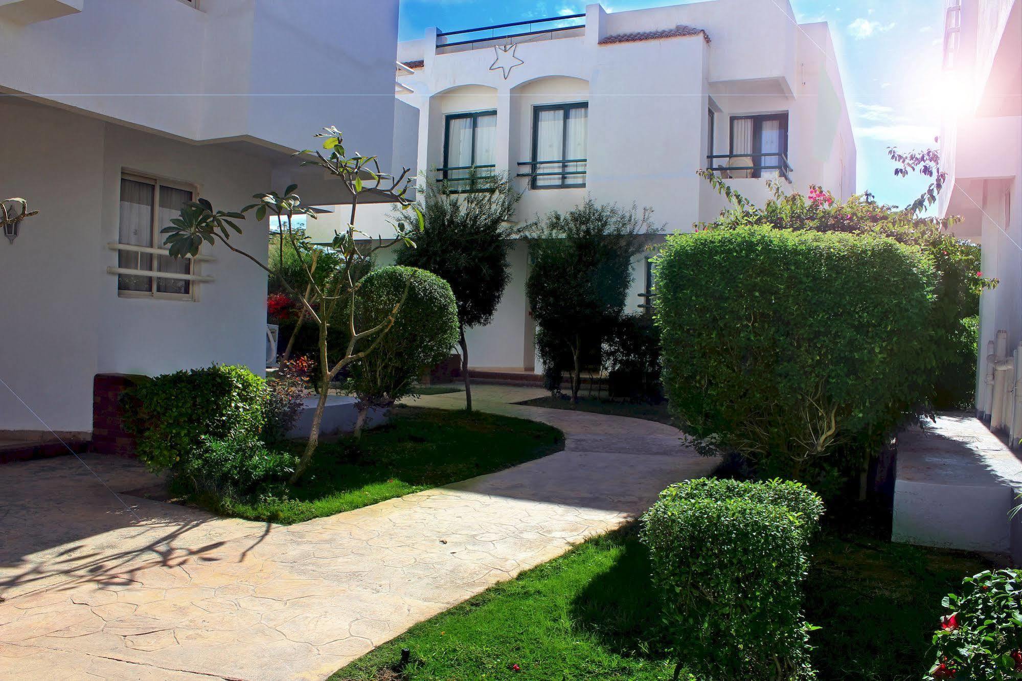 Complex Viking Club Sheikh 4*