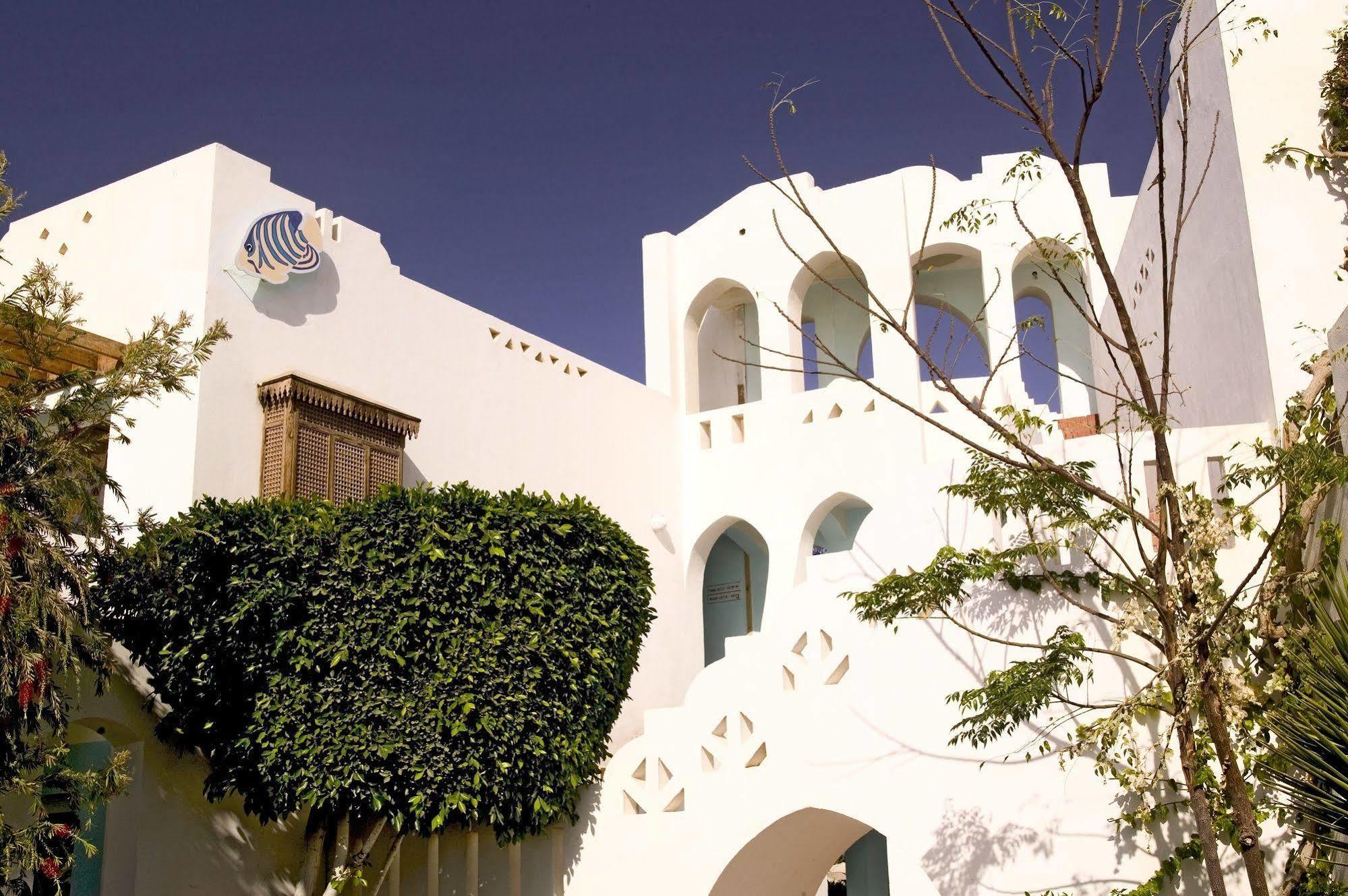 Resort Domina Oasis & Sharm El-Sheikh