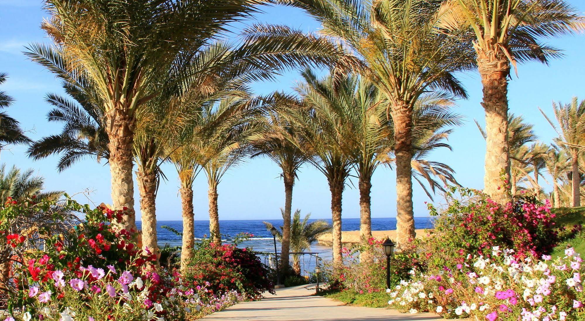Brayka Lagoon Marsa Alam