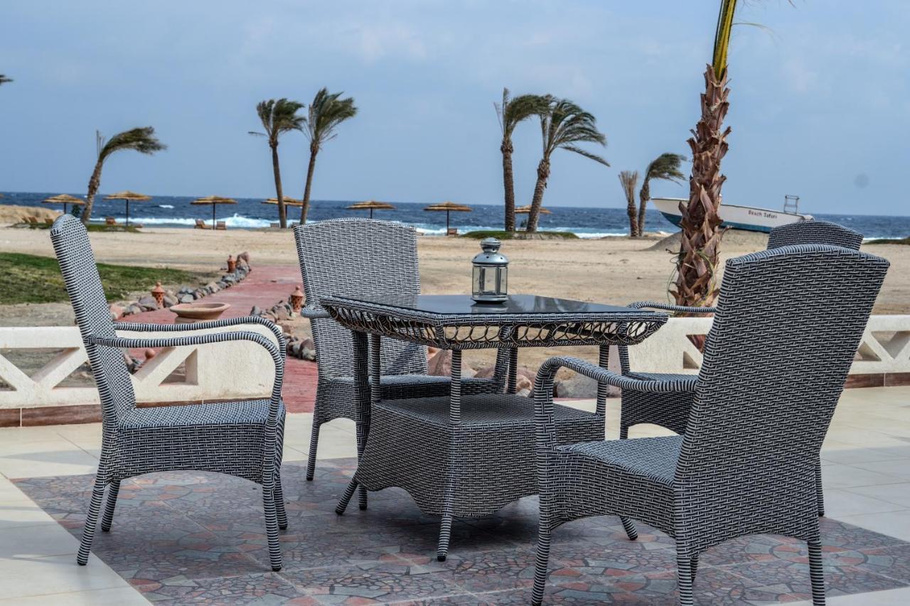 Aurora Safari Marsa Alam
