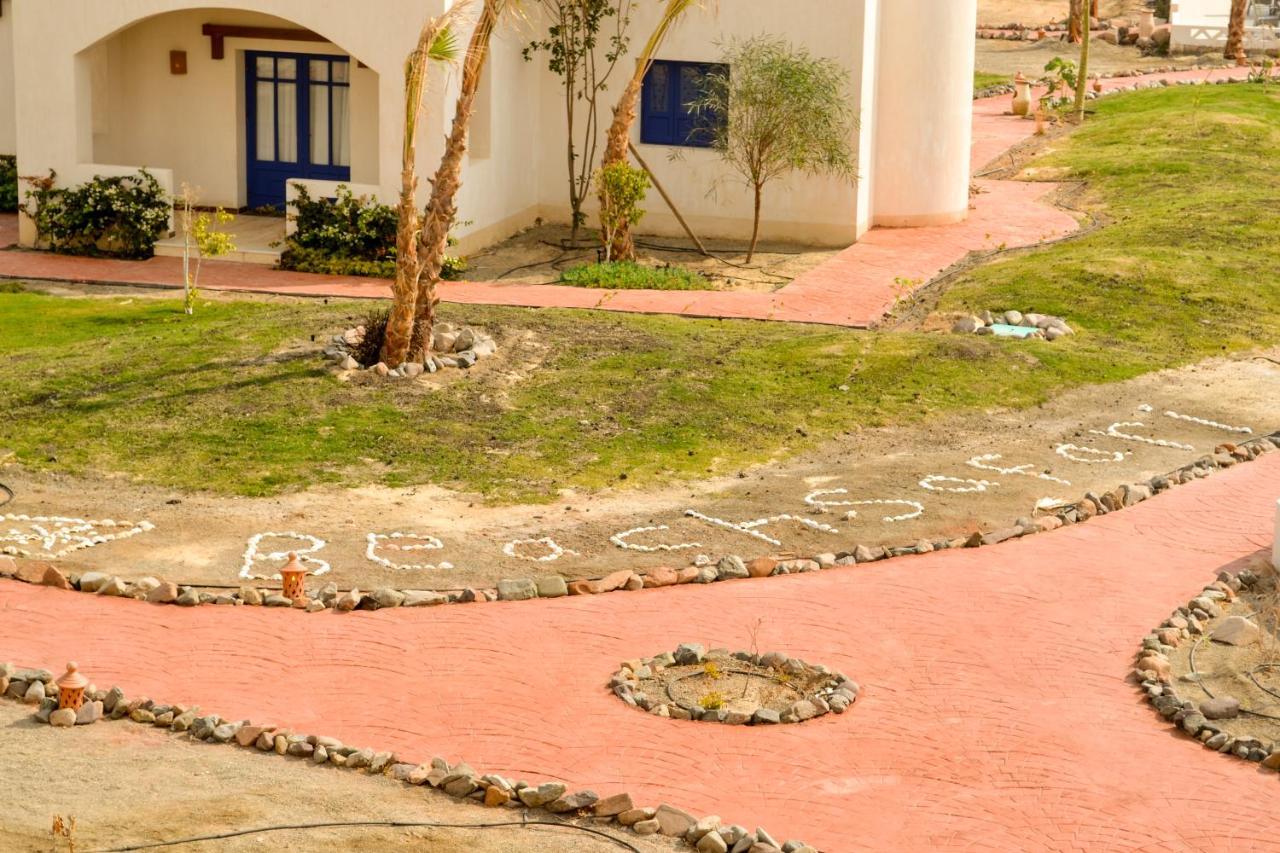 Resort Aurora Safari 4*