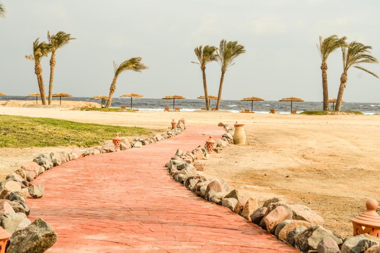 Aurora Safari Marsa Alam