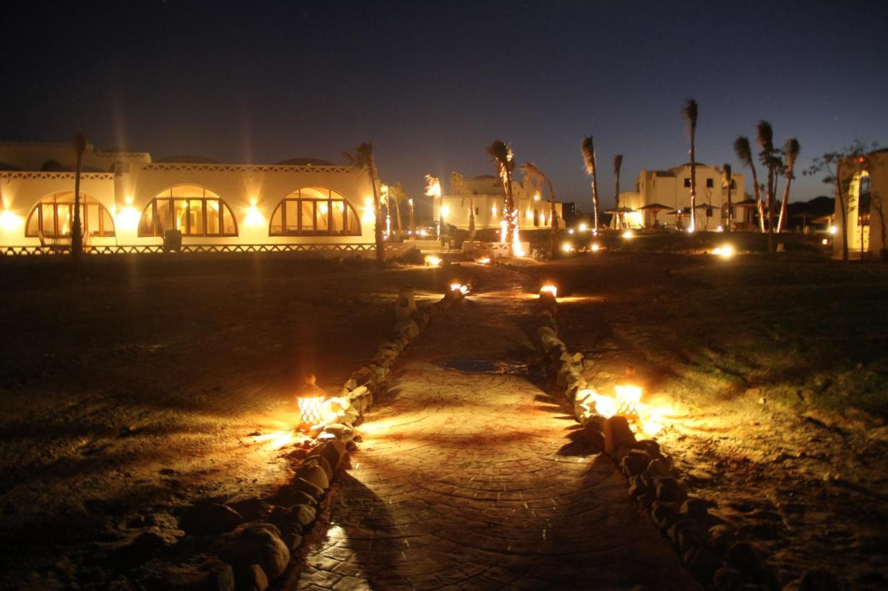 Resort Aurora Safari