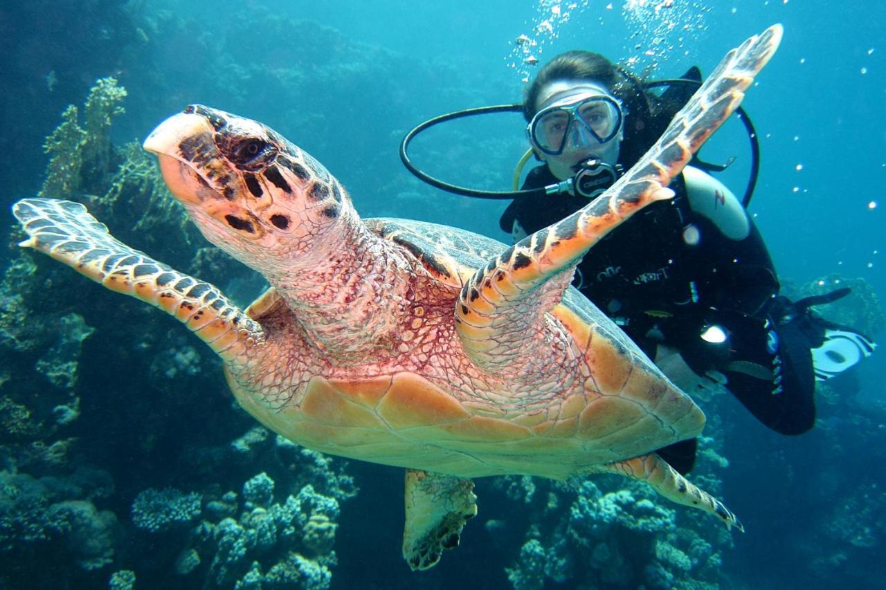 Aurora Safari 4* Marsa Alam