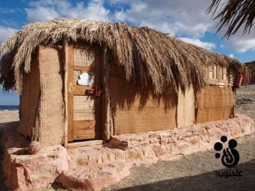 Deep South Eco-lodge