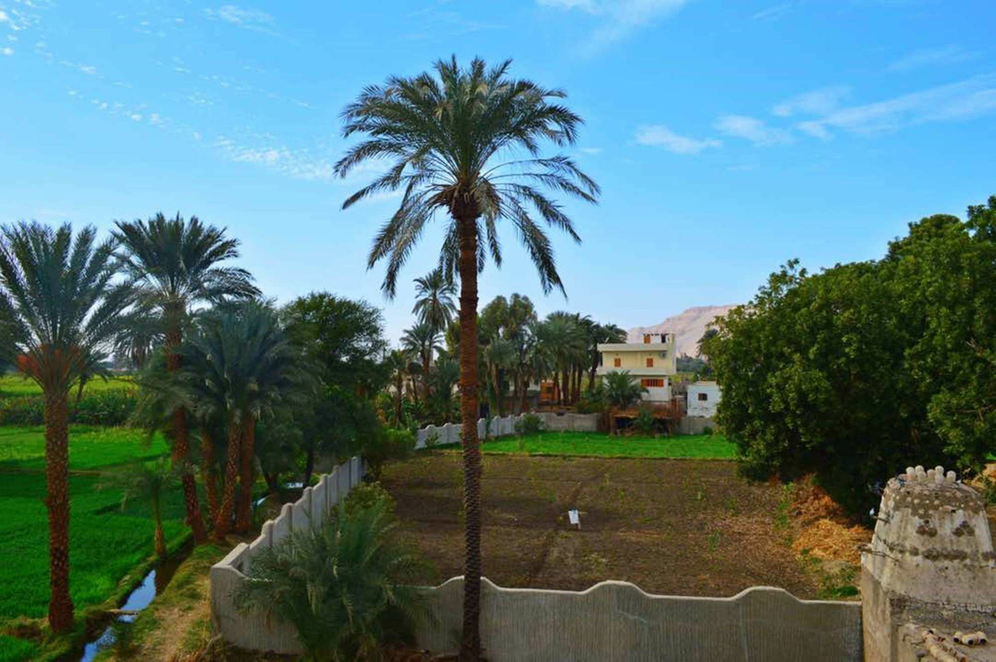 Apartment Farida Luxor