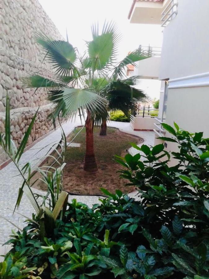 The Mo Place El Montaza Apartment *