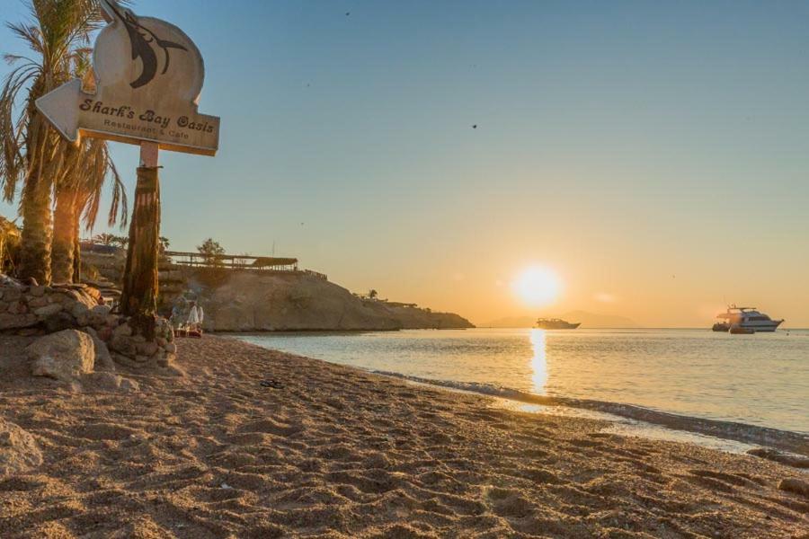Resort Sharks Bay Oasis Aqua Park Resort 3*