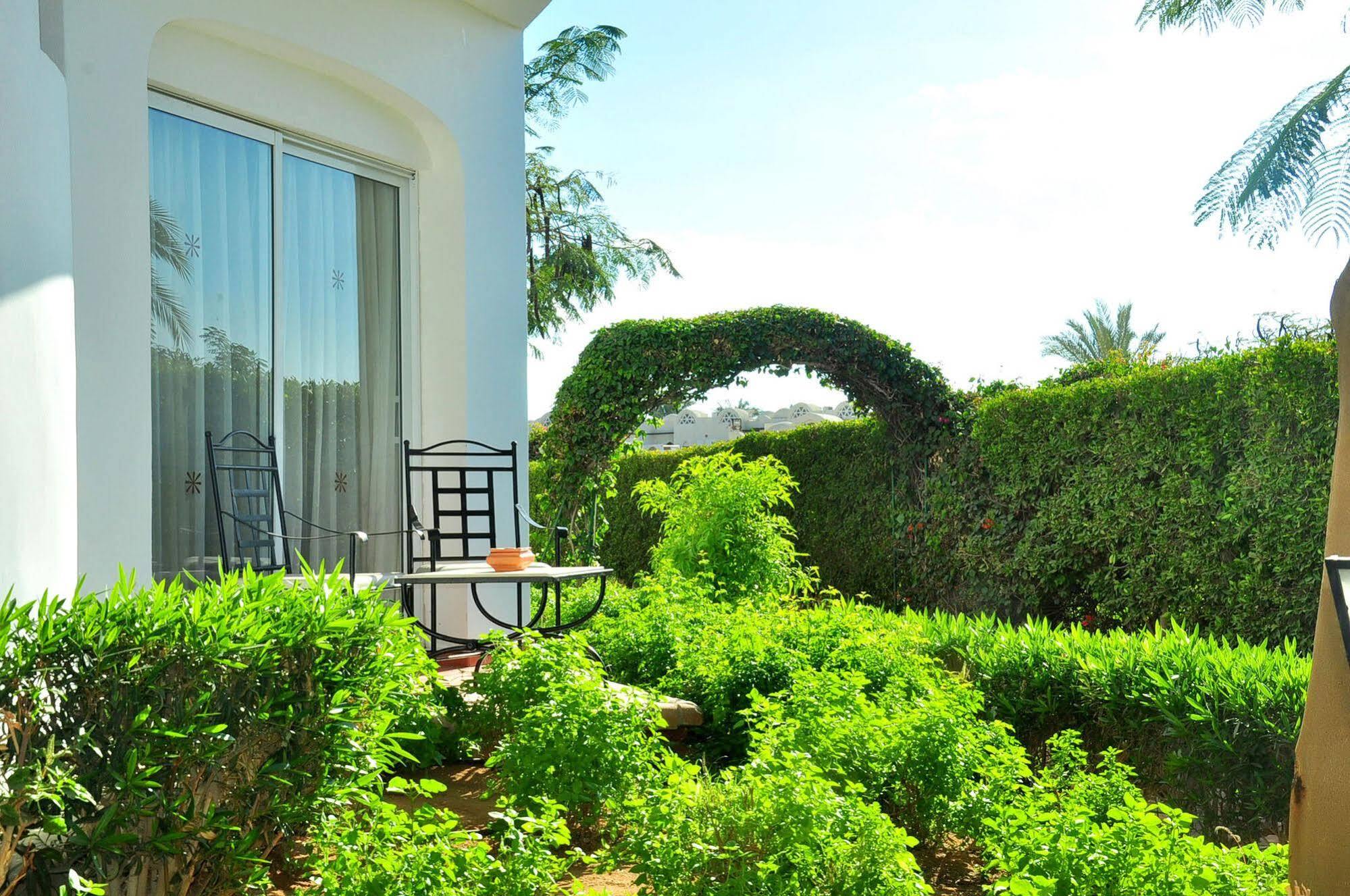 Jaz Fanara 5* Sharm el-Sheikh