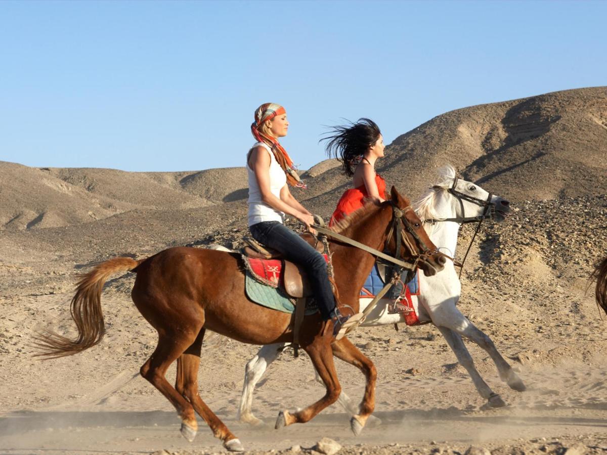Siva Port Ghalib 5* Marsa Alam