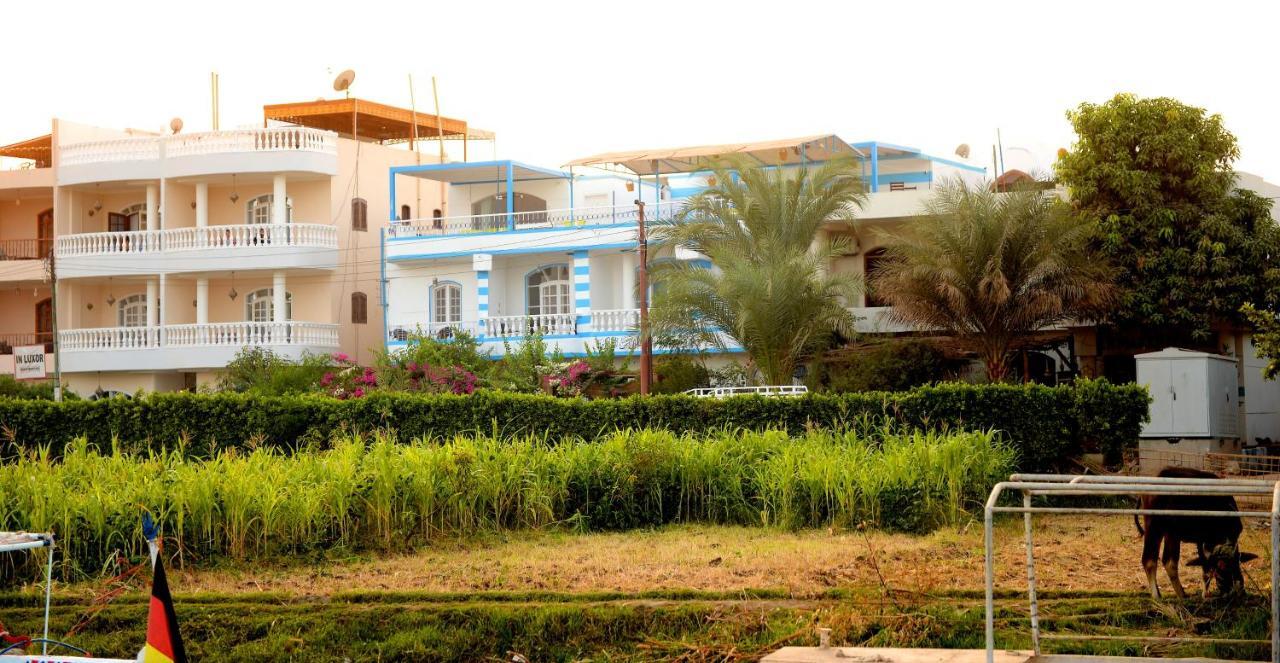 Luxor Guest House *