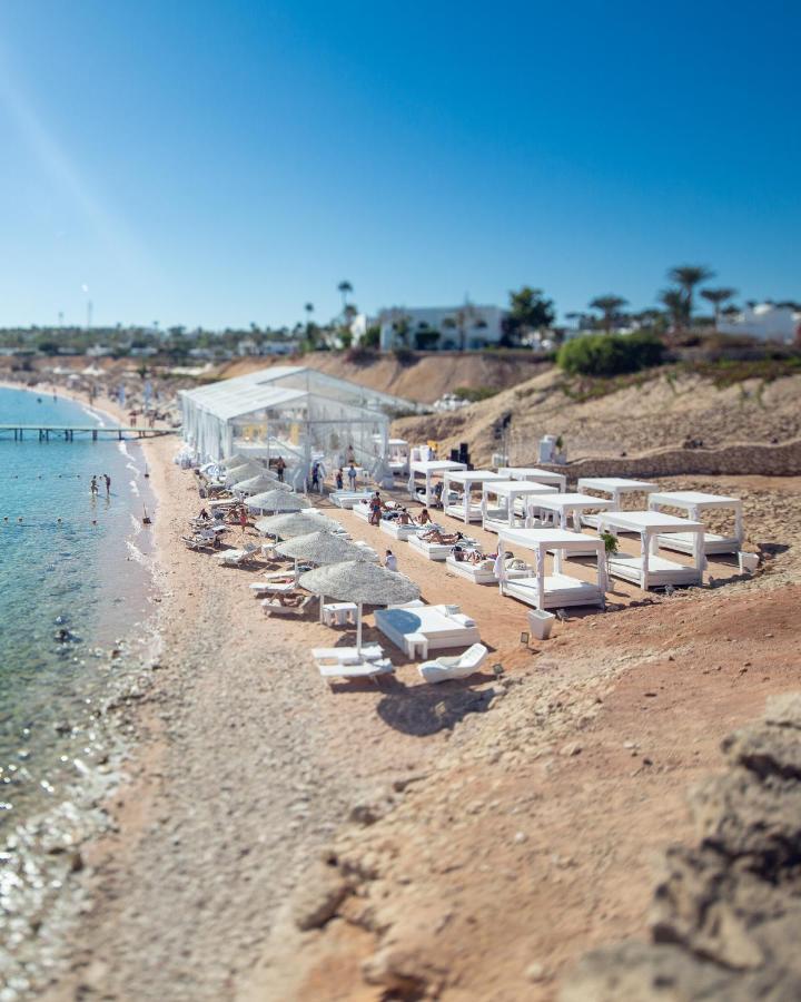 Domina Oasis & 5* Sharm El-Sheikh