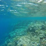 Star Of Dahab Hotel