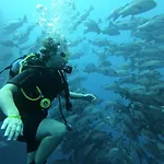 My Hostel In Dahab - Dive Center