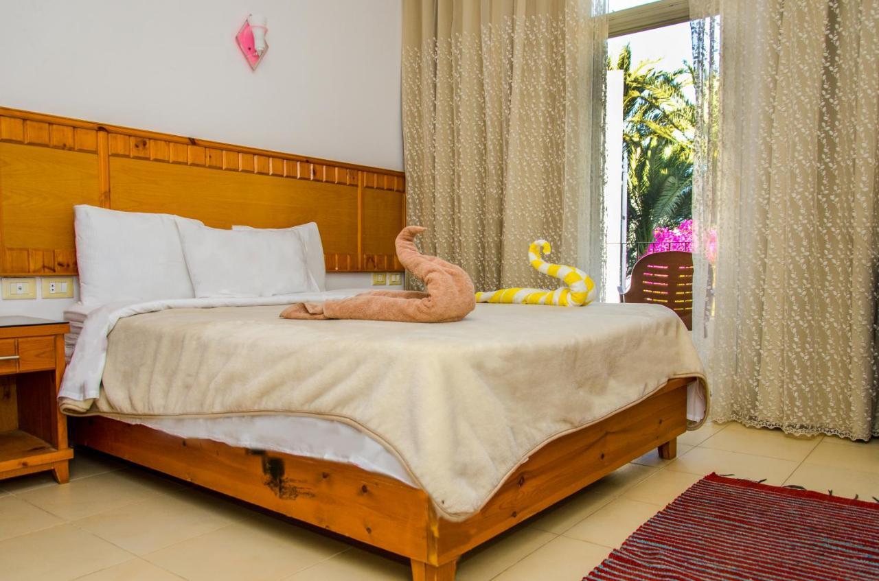 New Yalla Hotel Dahab