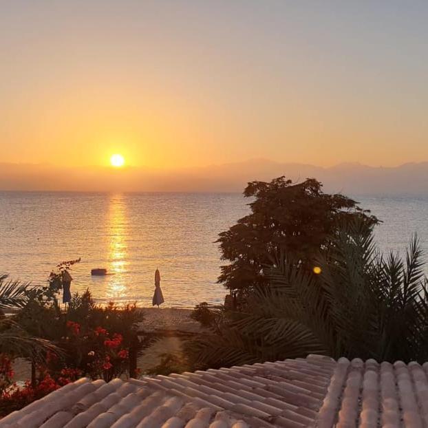 Nakhil Nuweiba
