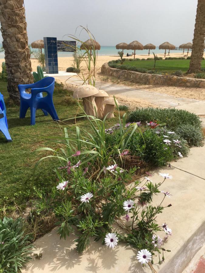 El Manal 1 Private * Ain Sukhna