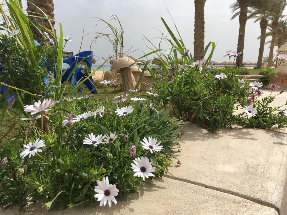 El Manal 1 Private Tatil Evi *