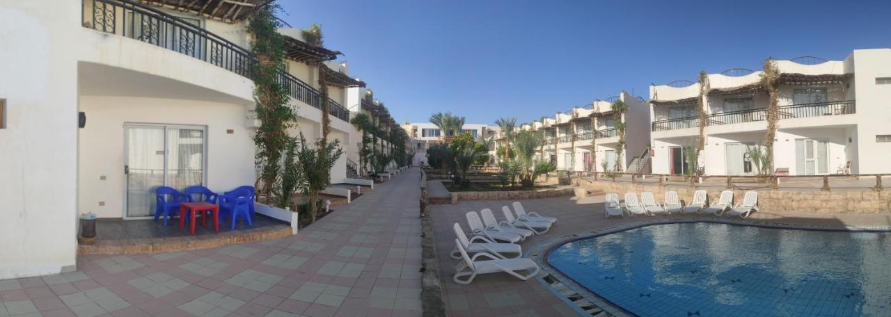 Hotel Panda 3*