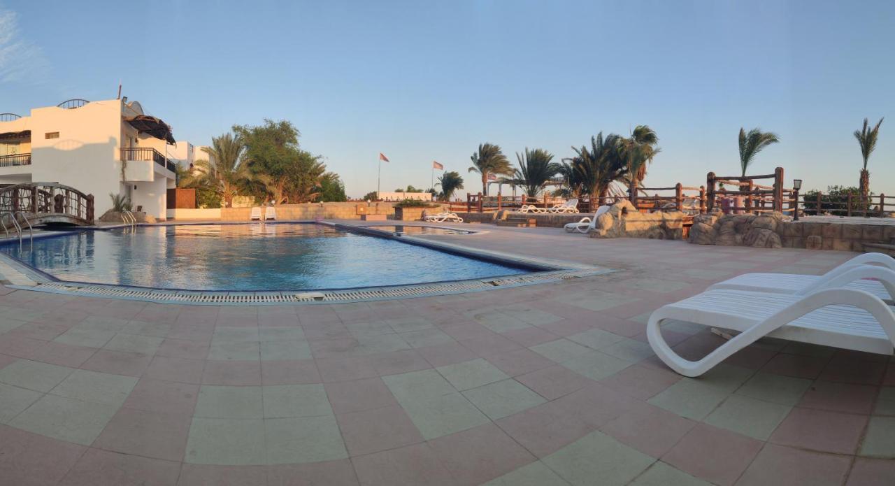 Panda Hotel 3*