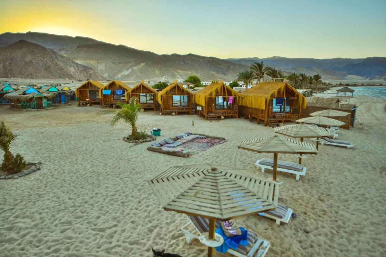 Paradise Sweir 3* Nuweiba`