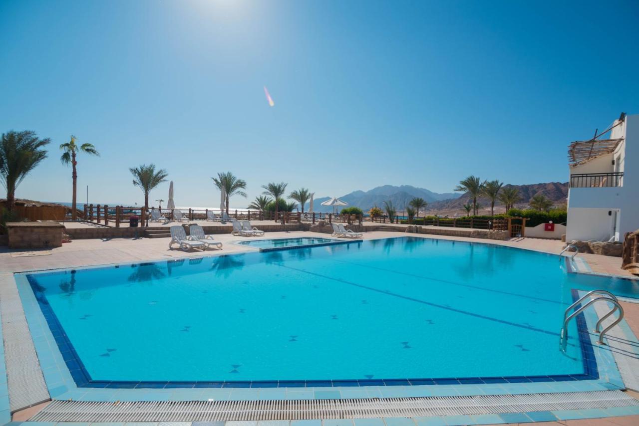 Panda 3* Dahab