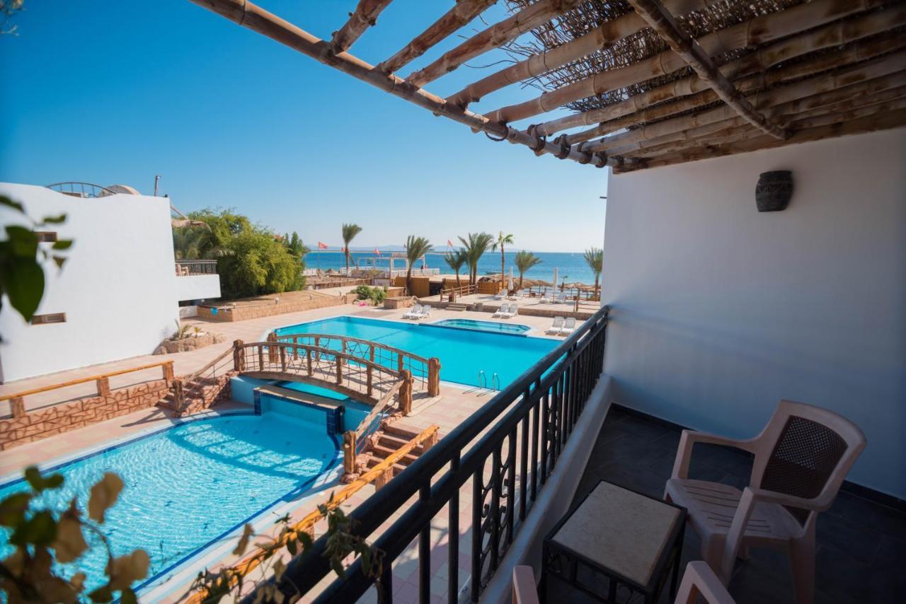 Panda Dahab
