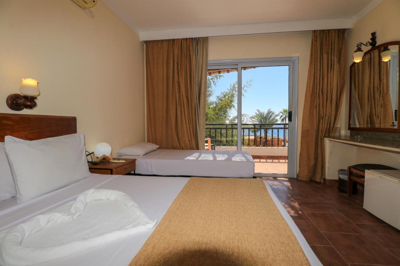 Panda 3* Dahab
