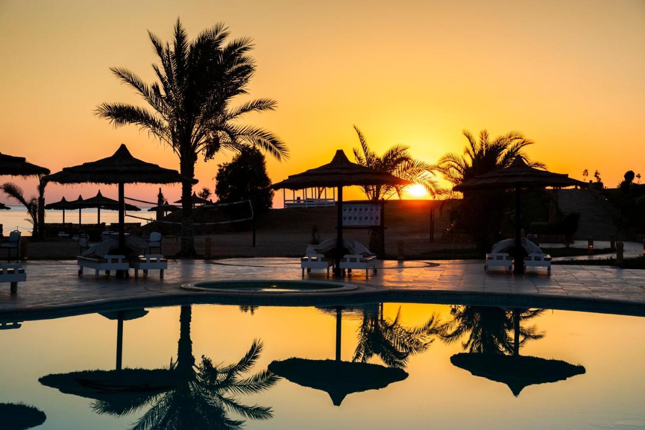 Coral Sun (adults Only) Hotel Safaga