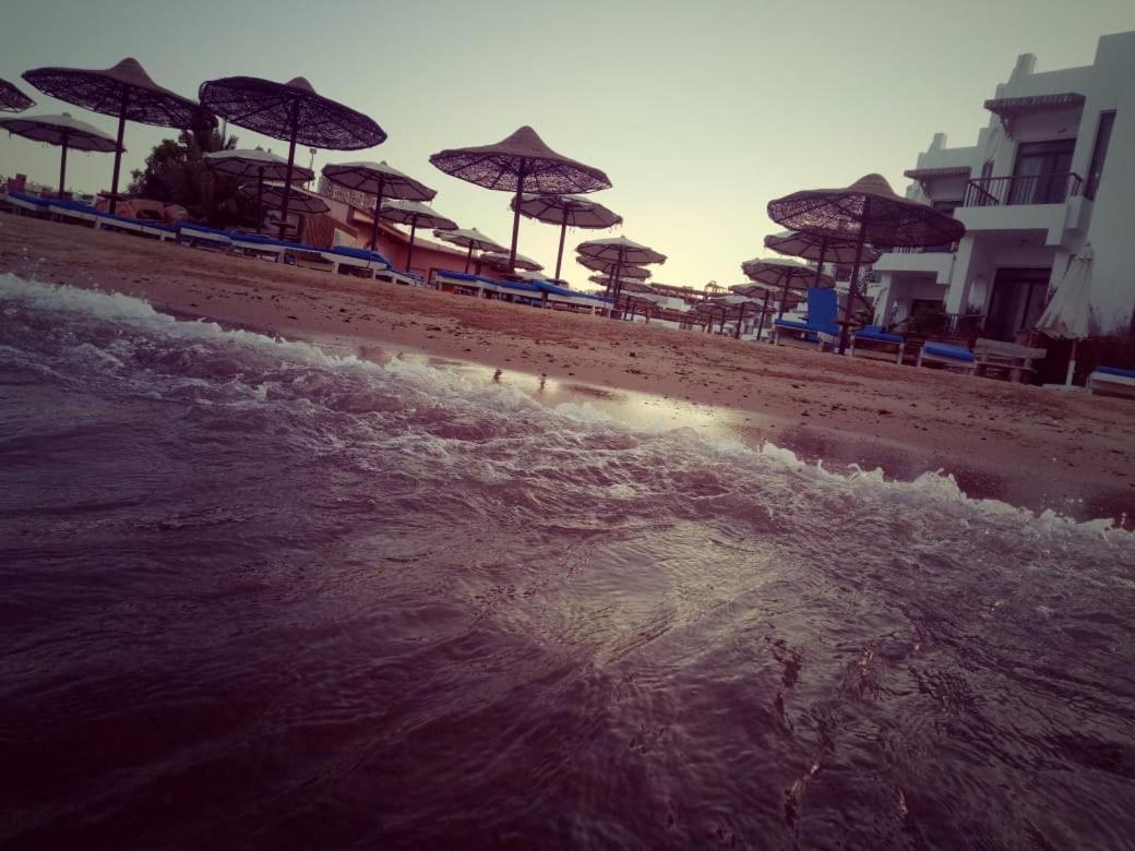 Charbel 3*