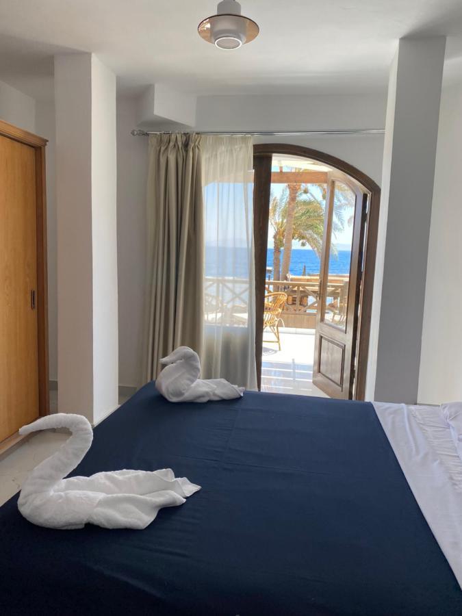 Hotel Penguin Village Dahab