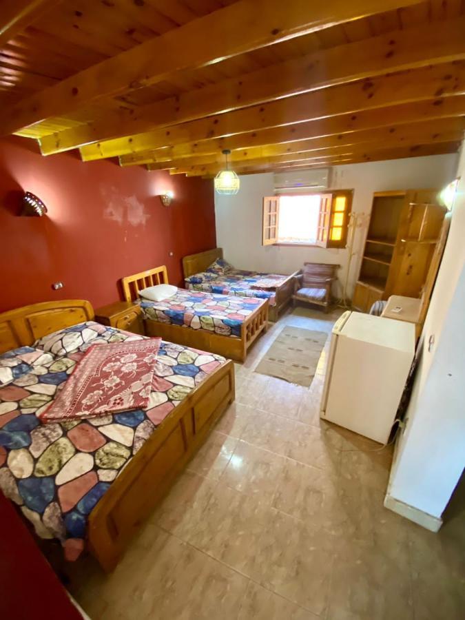 Hostel Bishbishi Camp *