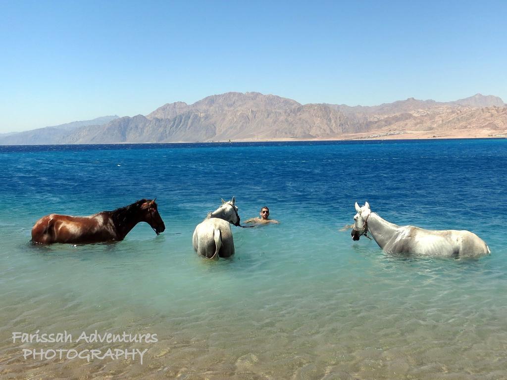 Blue Club * Dahab